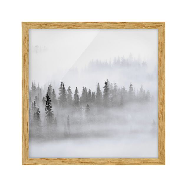 Obrazy w ramie do łazienki Mgła w Puszczy Jodłowej Czarno-biała
