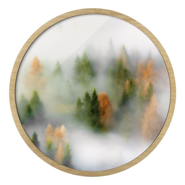 Obraz drzewo Foggy Forest In The Fall