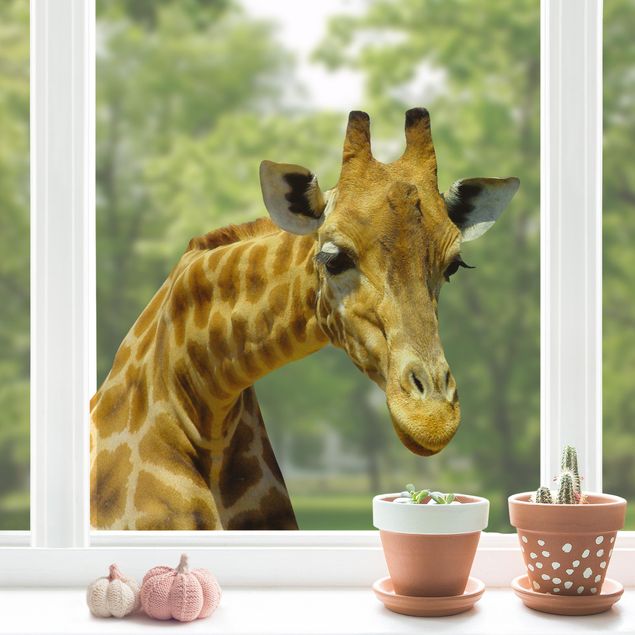 Folia okienna dla dzieci Ciekawska żyrafa