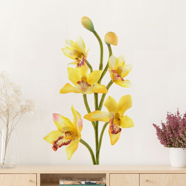 Naklejki na ścianę orchidea Nr 173 Żółta orchidea