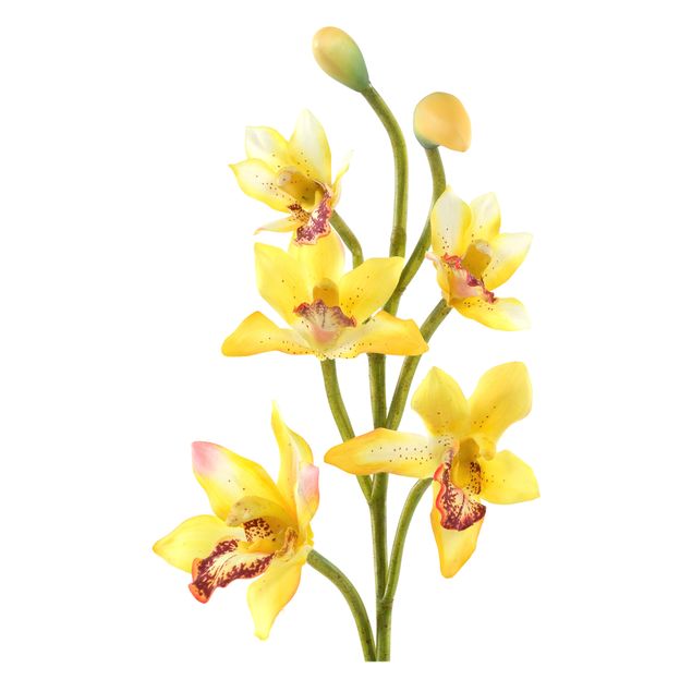 Dekoracja do kuchni Nr 173 Żółta orchidea