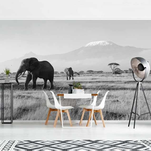 Fototapety afryka Nr 287 Słonie na tle Kilimandżaro w Kenii II