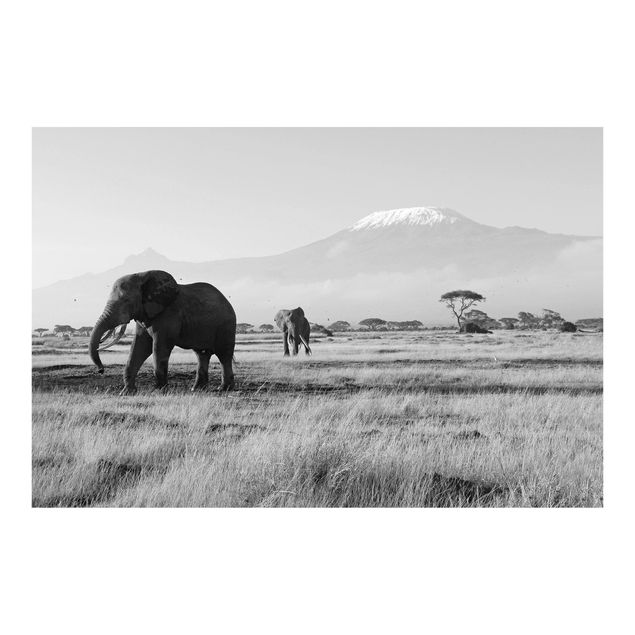 Tapeta ścienna Nr 287 Słonie na tle Kilimandżaro w Kenii II