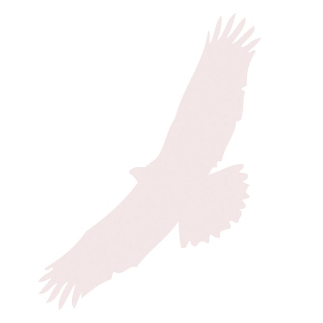 Folia okienna motywy Nr UL524 Ptak drapieżny