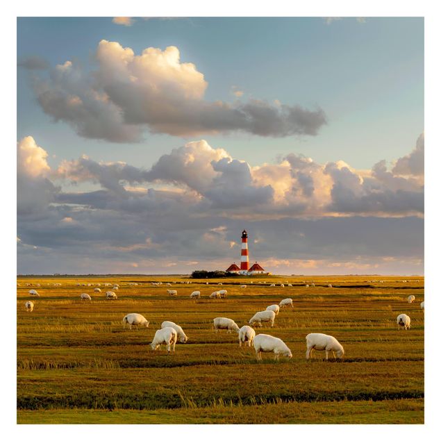 Rainer Mirau obrazy Latarnia morska na Morzu Północnym ze stadem owiec