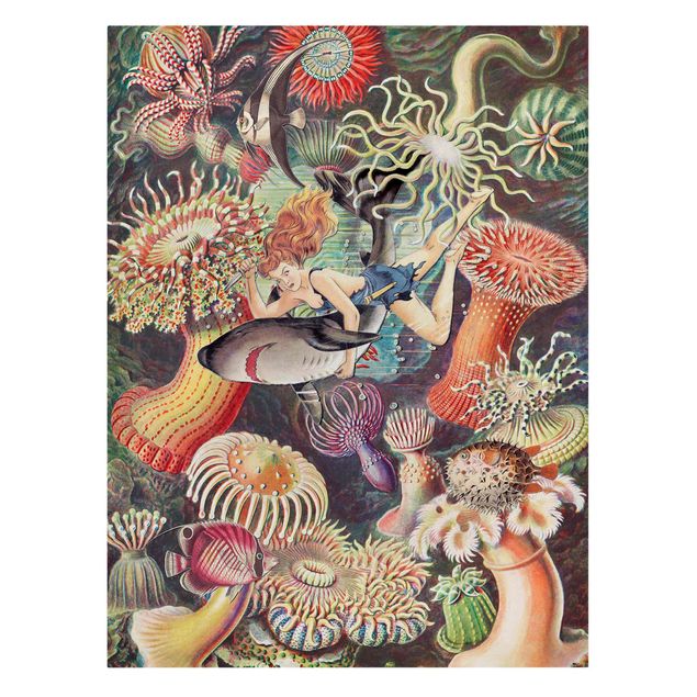Obrazy retro Nimfa z ukwiałami morskimi