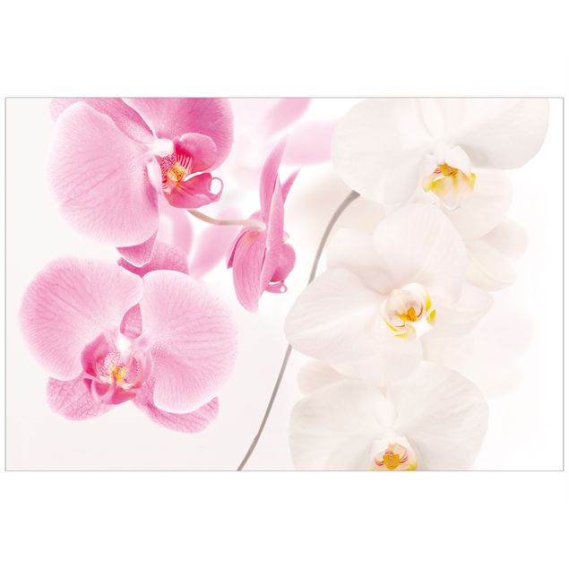 Folia okienna do salonu Delikatne orchidee