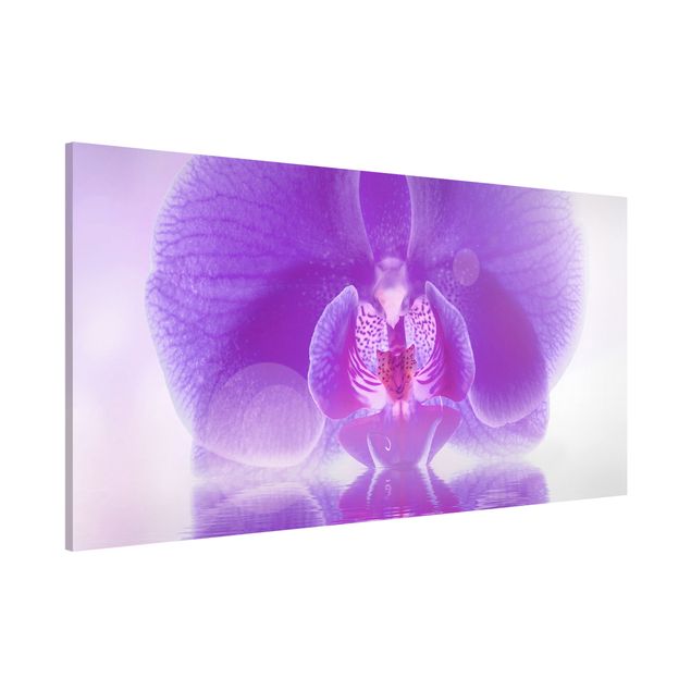 Obrazy orchidea Purpurowy storczyk na wodzie