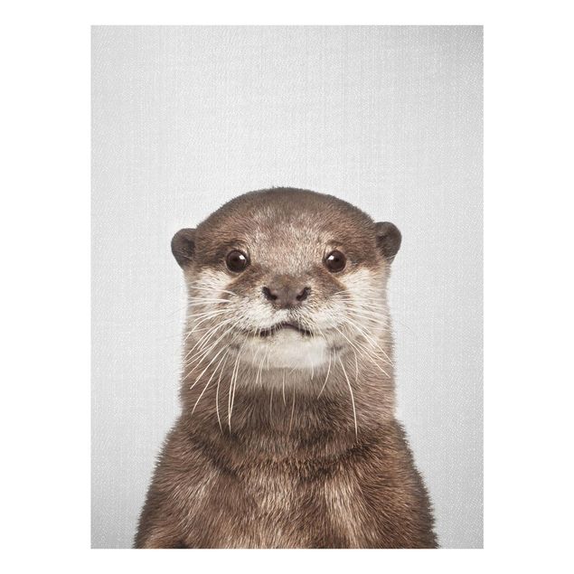 Obrazy nowoczesny Otter Oswald