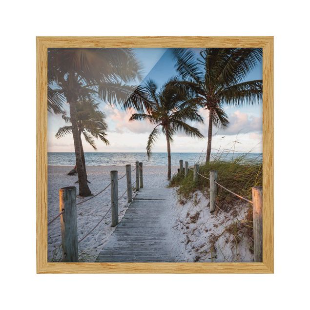 Nowoczesne obrazy do salonu Drzewa palmowe przy promenadzie do oceanu