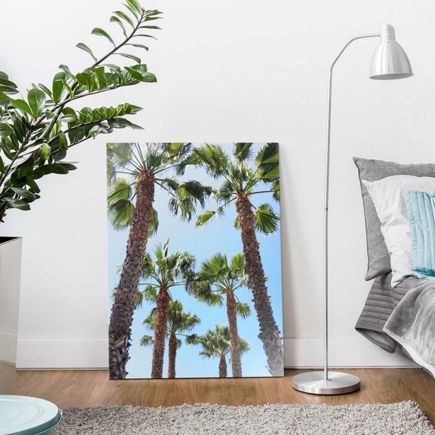 Obrazy na szkle krajobraz Palm Trees At Venice Beach