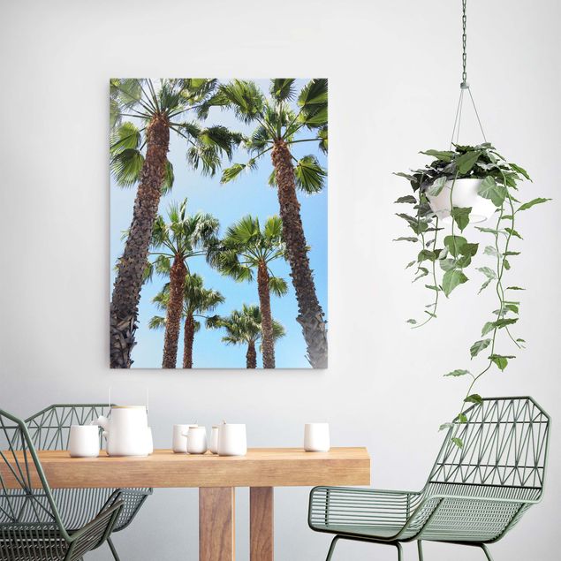 Obrazy na szkle plaża Palm Trees At Venice Beach