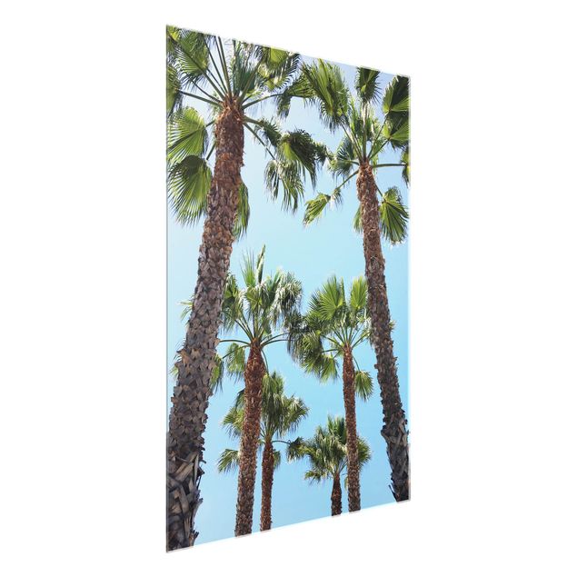 Obrazy do salonu Palm Trees At Venice Beach