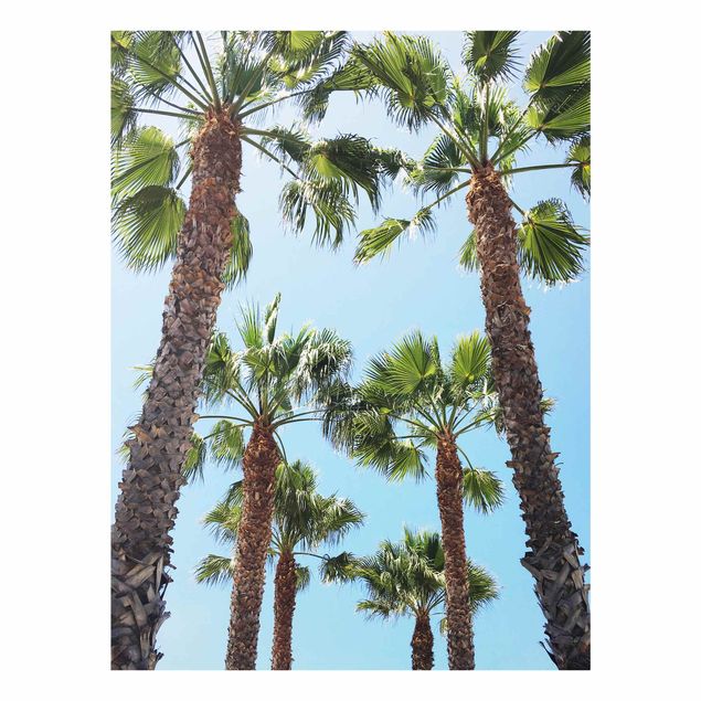Obrazy nowoczesne Palm Trees At Venice Beach