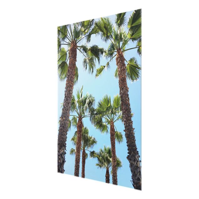 Obrazy morze Palm Trees At Venice Beach