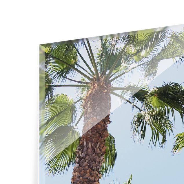 Obrazy krajobraz Palm Trees At Venice Beach
