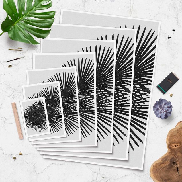 Plakat - Palm Tree Ferns w czerni i bieli
