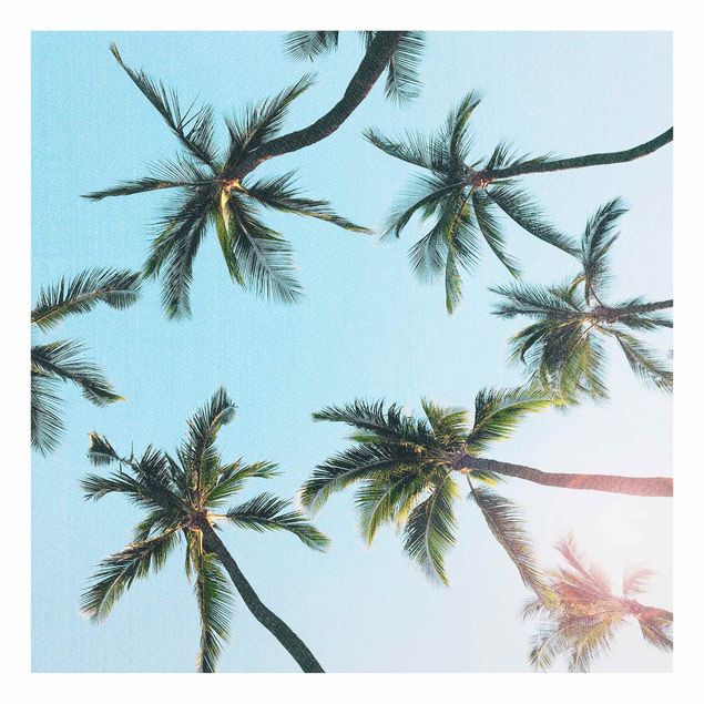 Obrazy nowoczesne Gigantic Palm Trees In The Sky