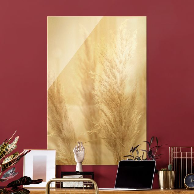 Obrazy na szkle portret Trawa pampasowa w świetle słonecznym