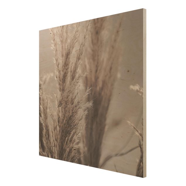 Obrazy na drewnie Trawa pampasowa późną jesienią