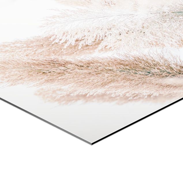 Obraz heksagonalny z Alu-Dibond - Trawa pampasowa w białym świetle