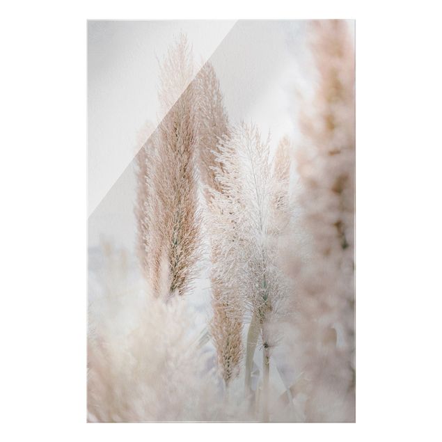 Obrazy kwiatowe Trawa pampasowa w białym świetle
