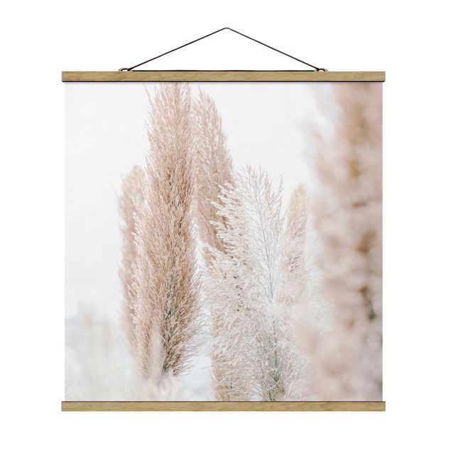 Obrazy z motywem kwiatowym Trawa pampasowa w białym świetle