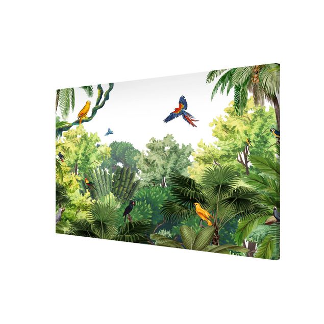 Nowoczesne obrazy Parada papug w dżungli