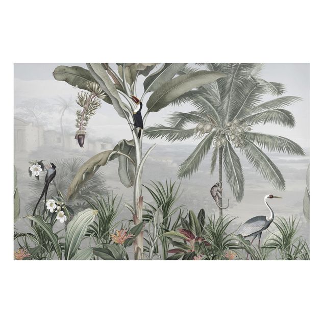 Obrazy do salonu Rajskie ptaki w panoramie dżungli