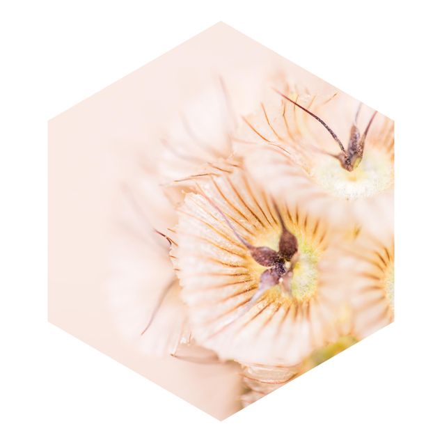 Sześciokątna tapeta samoprzylepna - Pastelowy bukiet kwiatów