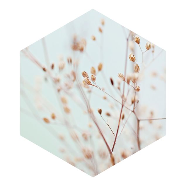 Sześciokątna tapeta samoprzylepna - Pąki pastelowe na gałązce polnych kwiatów
