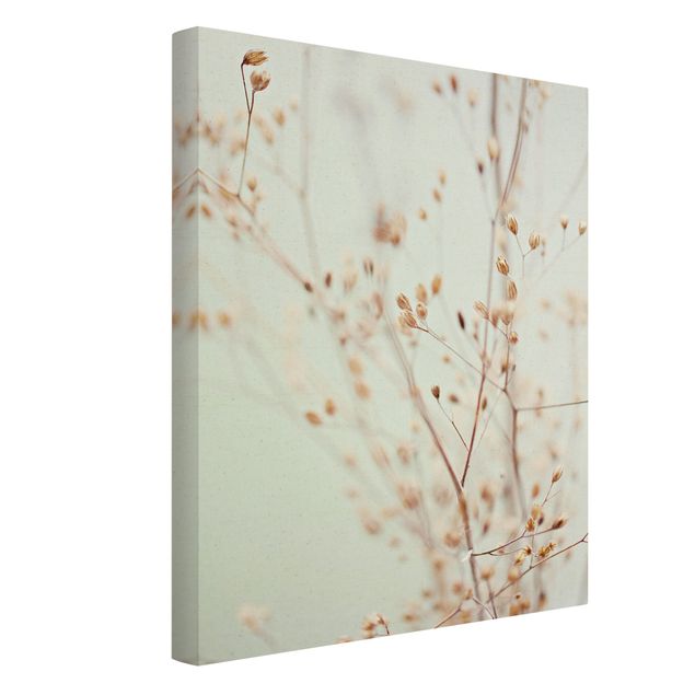 Obrazy drukowane na płótnie Pąki pastelowe na gałązce polnych kwiatów