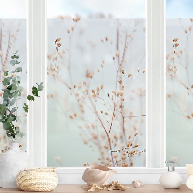 Folia okienna do sypialni Pastelowe pąki na gałęzi dzikiego kwiatu