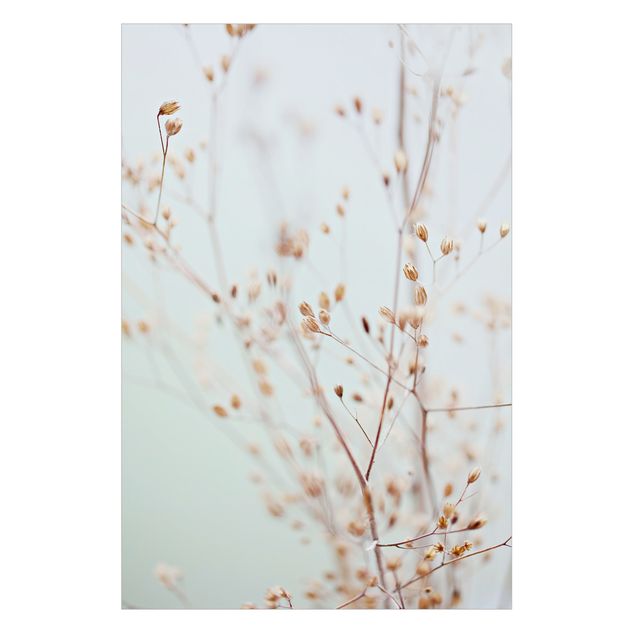 Folia samoprzylepna Pastelowe pąki na gałęzi dzikiego kwiatu