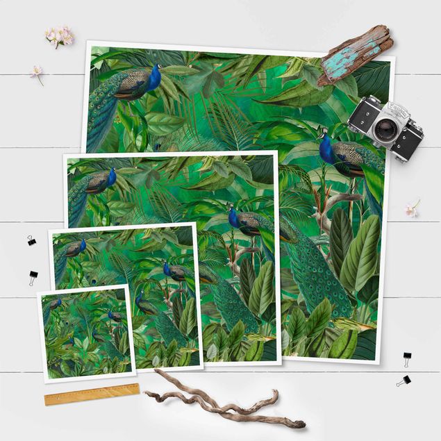 Zielony obraz Pawiaki w dżungli