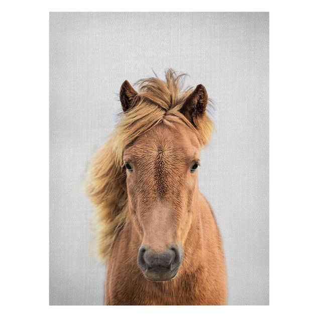 Obrazy ze zwierzętami Horse Pauline