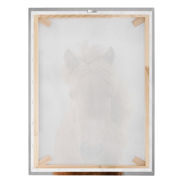Obrazki czarno białe Horse Pauline