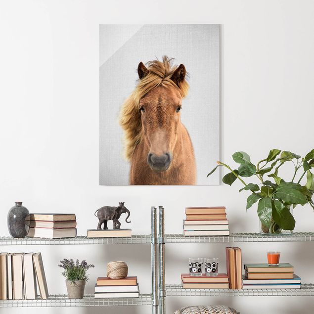 Obrazy na szkle portret Horse Pauline
