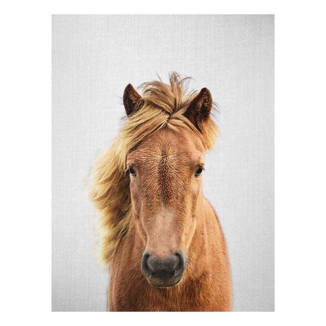 Obrazy na szkle zwierzęta Horse Pauline