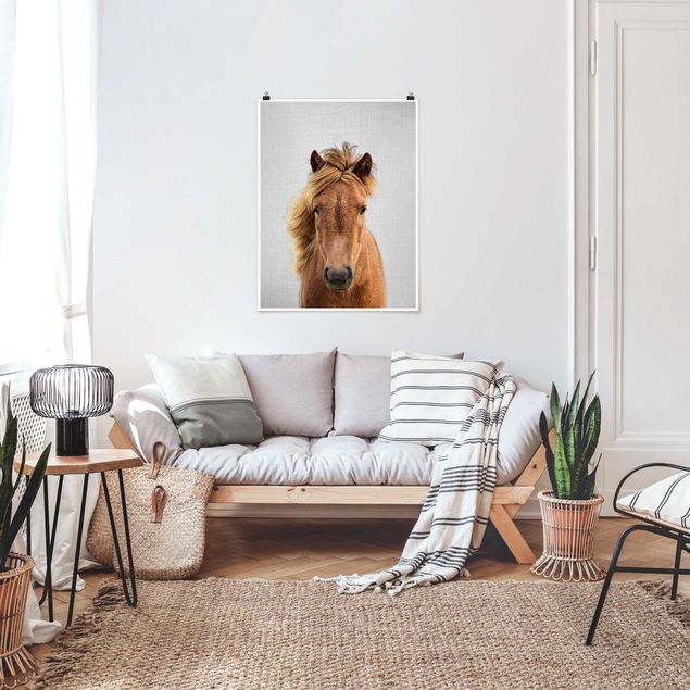 Obrazy do salonu nowoczesne Horse Pauline