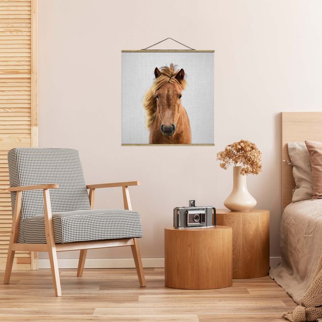 Obrazy nowoczesne Horse Pauline