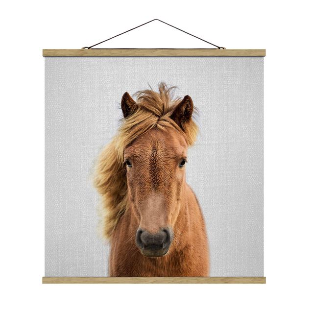 Obrazy koń Horse Pauline