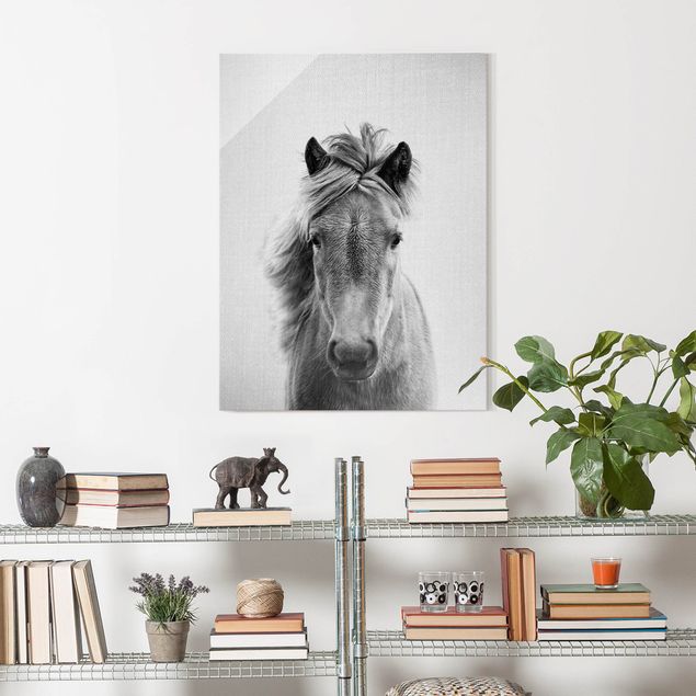 Obrazy na szkle portret Horse Pauline Black And White