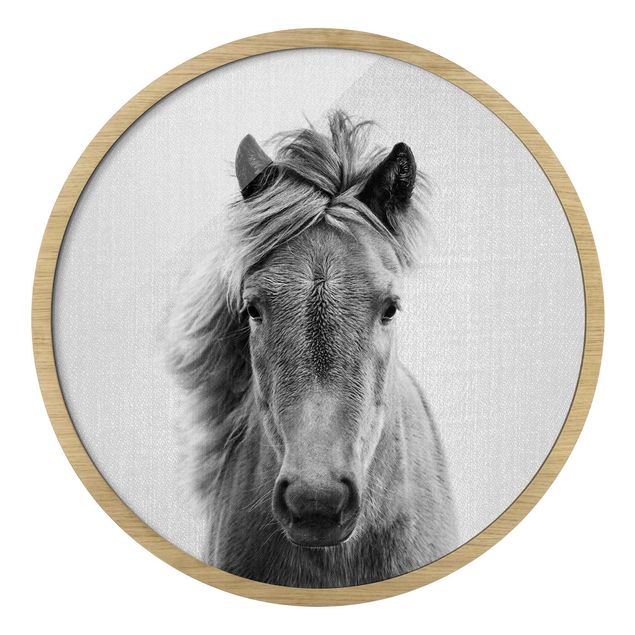 Obrazy koń Koń Pauline czarno-biały