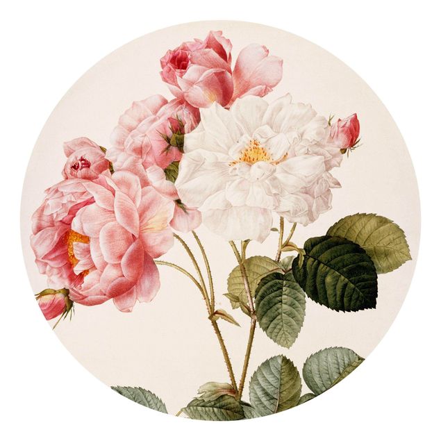 Fototapety kwiaty Pierre Joseph Redouté - Róża damasceńska