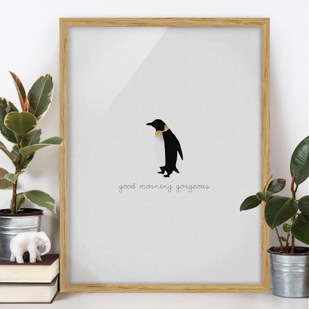 Obrazy w ramie powiedzenia Cytat pingwina Good Morning Gorgeous