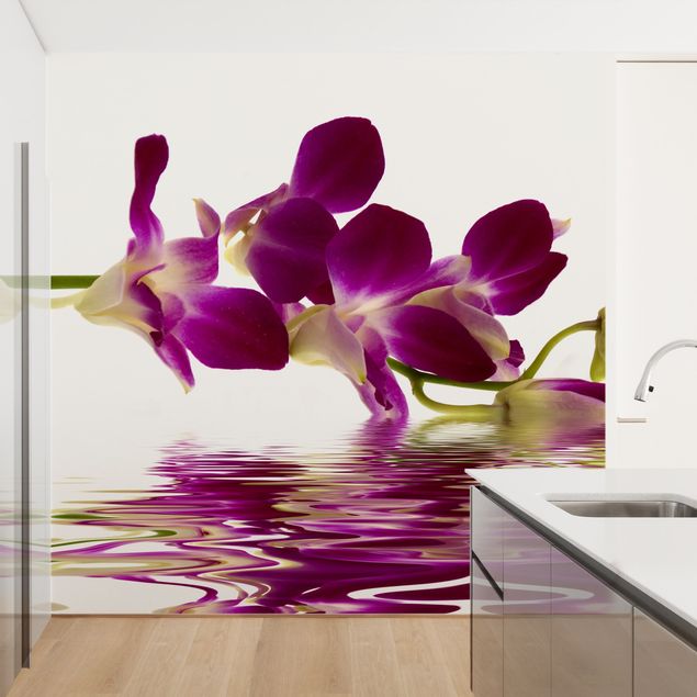 Tapety na ściany Wody różowej orchidei