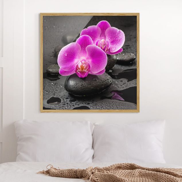 Obrazy orchidea Kwiaty różowej orchidei na kamieniach z kroplami