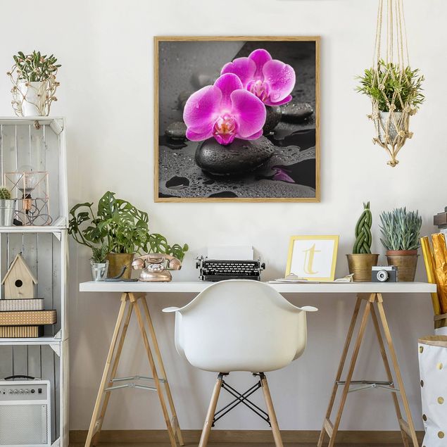 Obrazy w ramie do łazienki Kwiaty różowej orchidei na kamieniach z kroplami