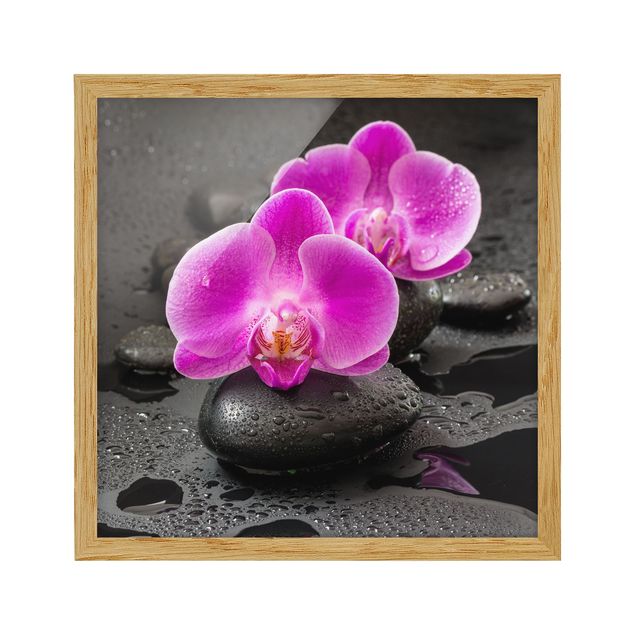 Nowoczesne obrazy Kwiaty różowej orchidei na kamieniach z kroplami